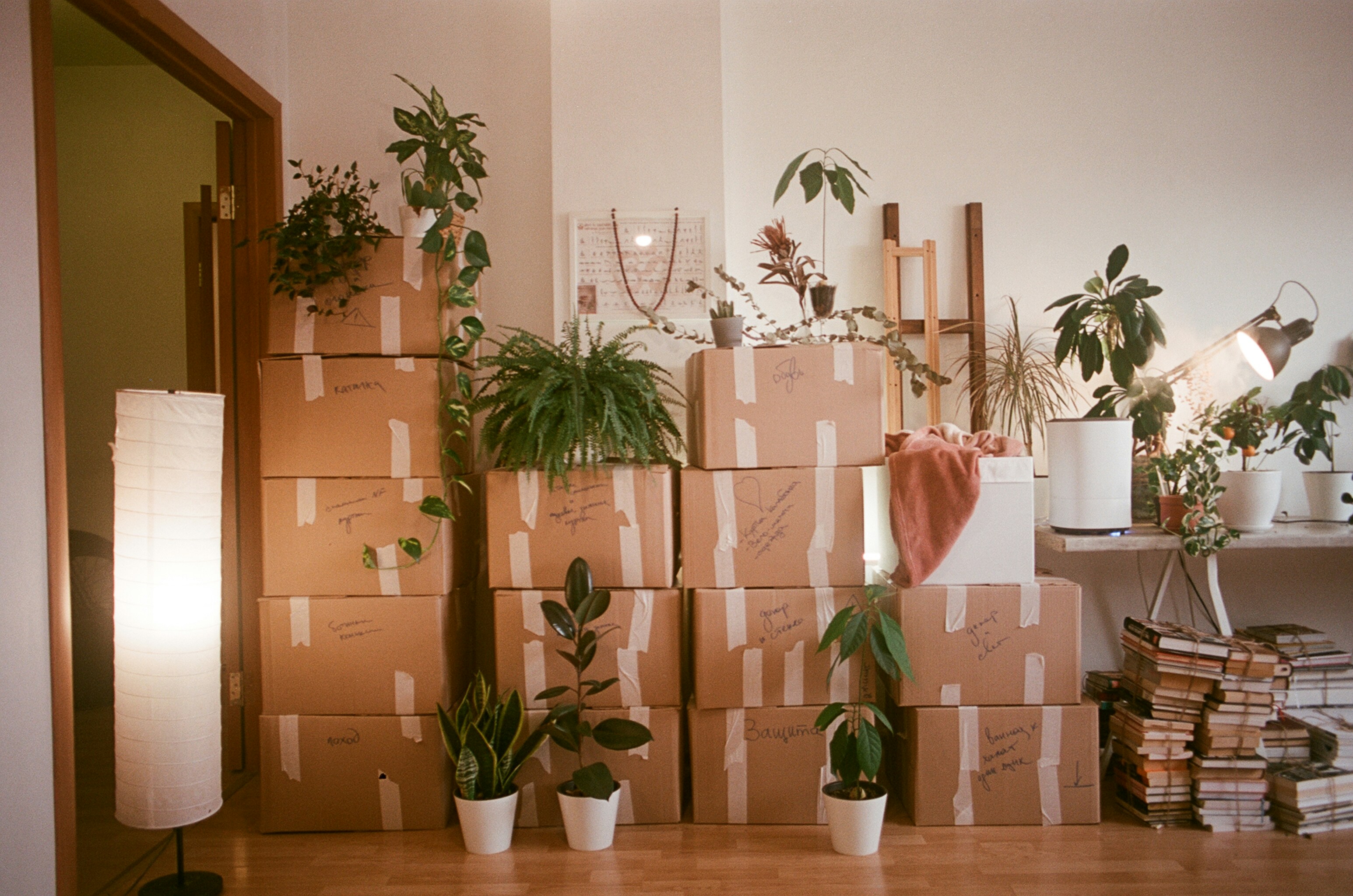 Sorting and loading